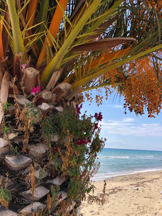 Halkidiki Beach Apartments 2 Nea Kalikratia Vergia Beach Nea Kallikrateia 外观 照片
